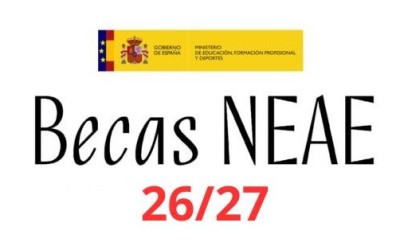 Ayudas NEAE para el Curso 26-27 en Centro CADIS