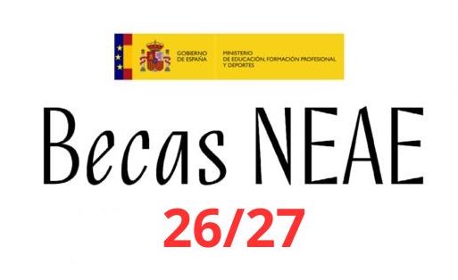 Ayudas NEAE para el Curso 26-27 en Centro CADIS
