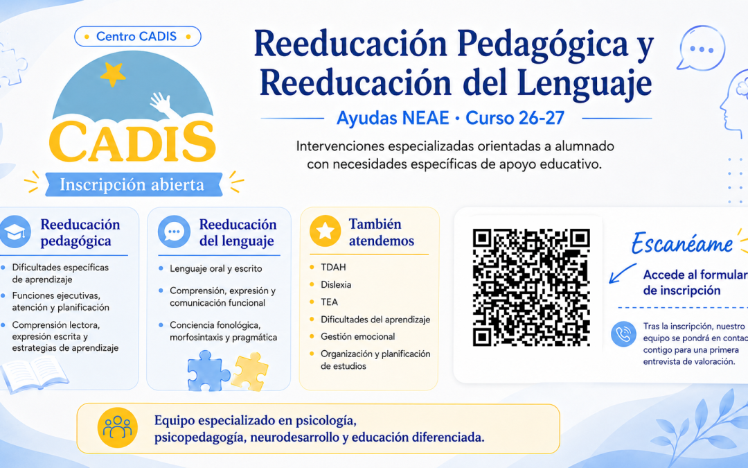 Ayudas NEAE para el Curso 26-27 en Centro CADIS